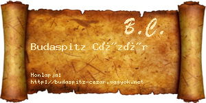 Budaspitz Cézár névjegykártya